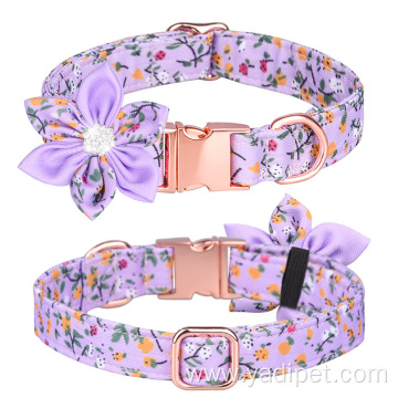 Quick Release Metal Buckle Designer Colorful Collars